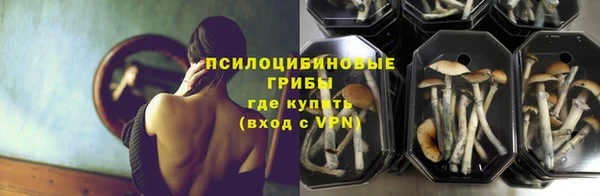 apvp Рославль