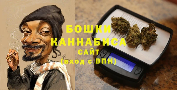 apvp Рославль