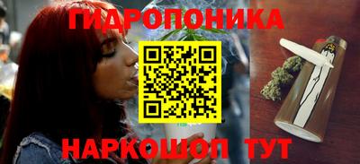 бошки Абинск