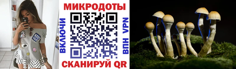 Псилоцибиновые грибы MAGIC MUSHROOMS наркошоп Алатырь