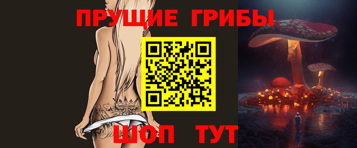 Галлюциногенные грибы мухоморы  Вход с VPN  Псилоцибиновые грибы GOLDEN TEACHER  закладки  Алатырь 